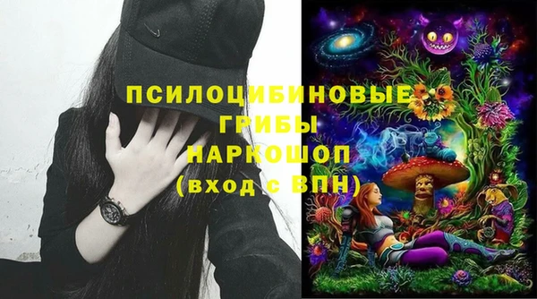 PSILOCYBIN Вязьма