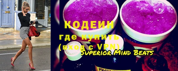 гашик Дмитров
