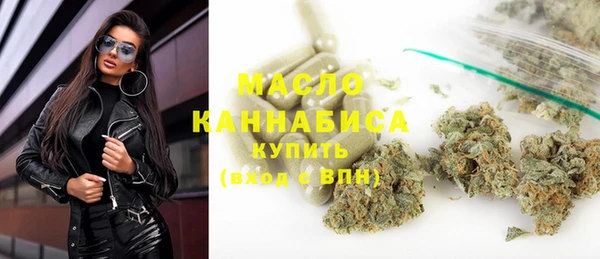 гашик Дмитров