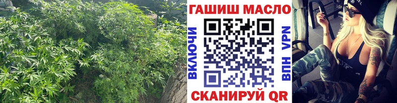 darknet какой сайт Дубовка ТГК THC oil
