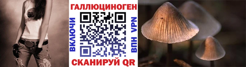 Псилоцибиновые грибы прущие грибы  блэк спрут сайт  Дубовка 